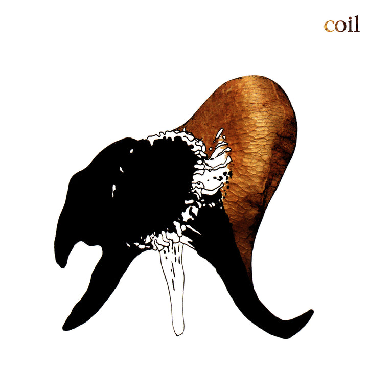 Coil – Black Antlers – Limited Edition Clear Vinyl 2 LP