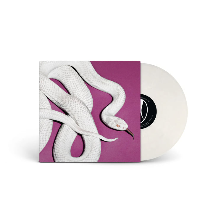 Vinyl record with a white snake design on a purple background