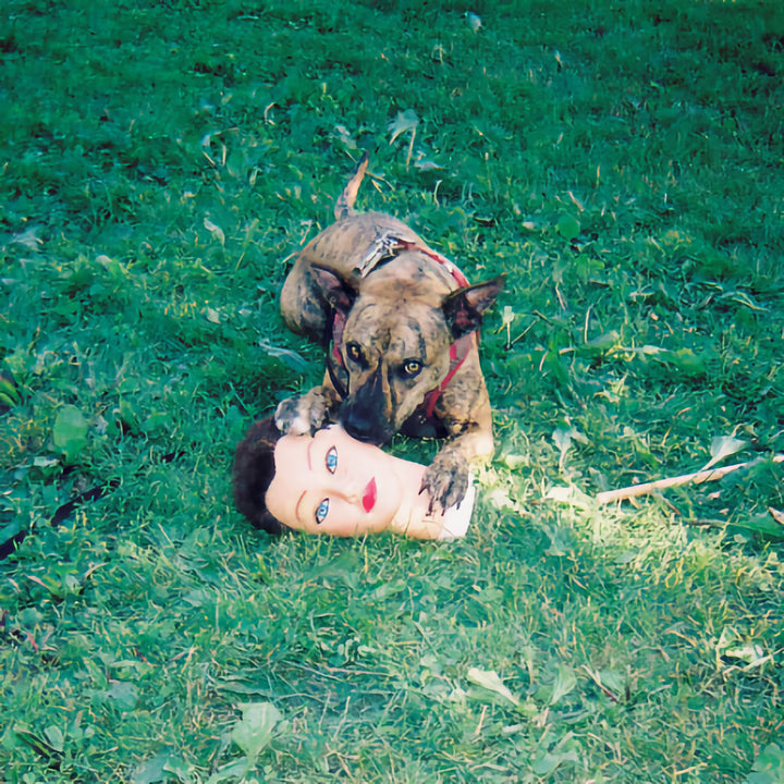 Joyce Manor – Cody – Vinyl LP